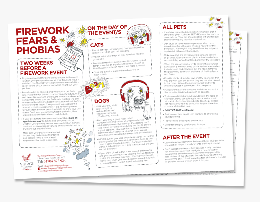 pets-and-fireworks-safety-advice-guide-village-vets-formby-downloadimage