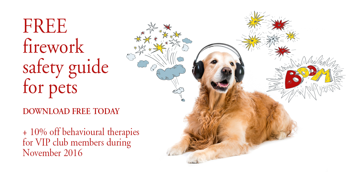 How To Register A Dog As A Therapy Dog Uk How To Register A Dog As A Therapy Dog Uk
