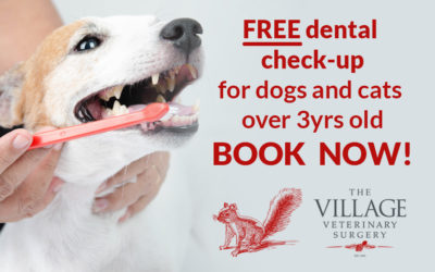 Village Vets are encouraging good dental health in pets