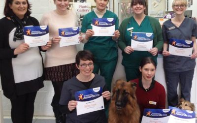 Petplan Awards Clean Sweep for Village Vets’ staff