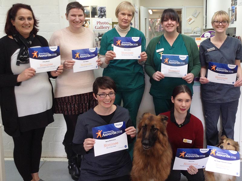 Petplan Awards Clean Sweep for Village Vets’ staff