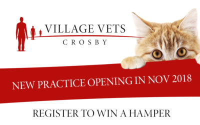 New Village Vets Practice opening in Crosby village