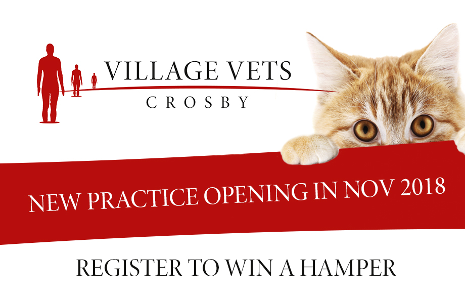 New Village Vets Practice opening in Crosby village