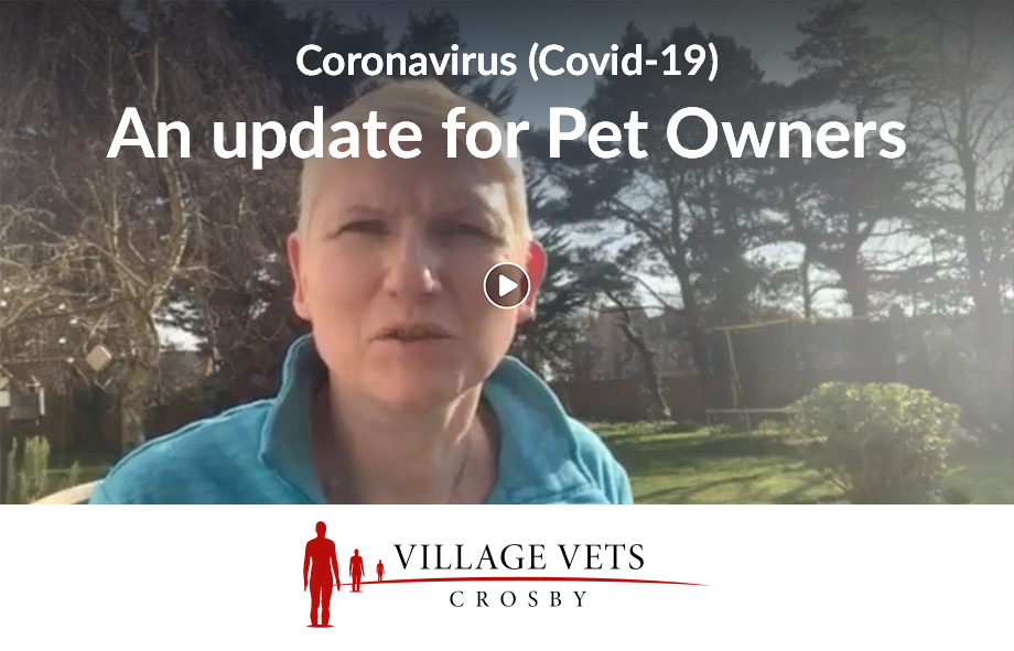 Coronavirus: Important Updates for Pet Owners in Formby